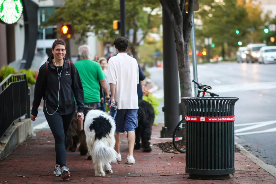 Pedestrians and Walkable Street